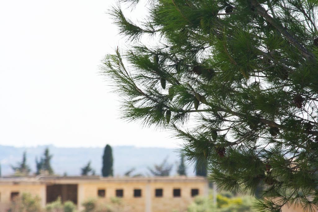 Via Gallipoli Bed & Breakfast